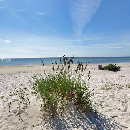 Blakke - 250m From The Sea By Interhome